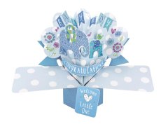 3D Pop-up Card - Baby Boy Elephants