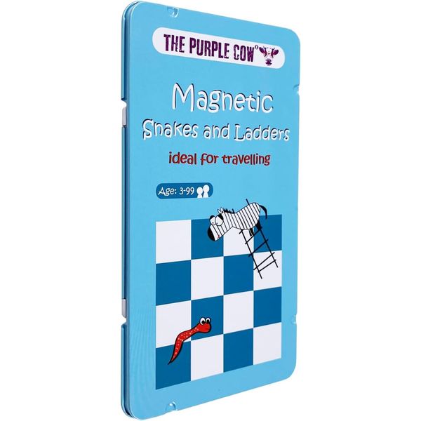 Magnetic Games - Snakes and Ladders