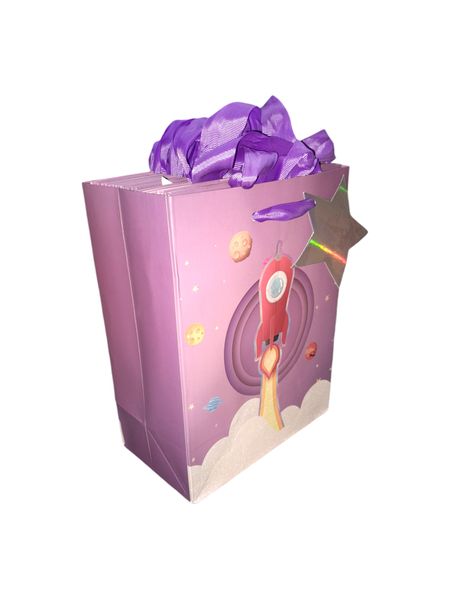 Set of 12 Premium paper Space Gift Bags
