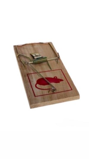 Wooden Rat Trap