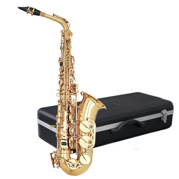 Santa Fe Alto Saxophone Outfit