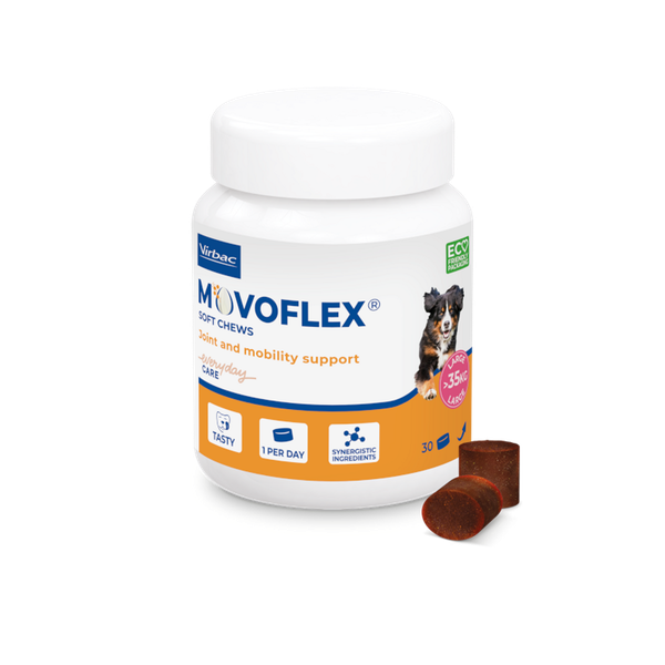 Movoflex Soft Chews for Joint Mobility Support - Large