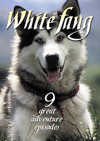 White Fang Vol 1 - (Region 1 Import DVD)