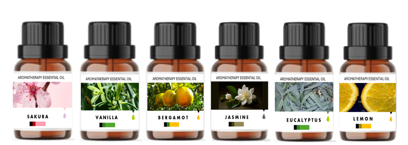 6 Pack Aromatherapy Essential Oil Gift Set 1