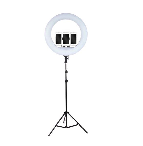 18 inch - Multicolor Ring Fill Light With Stand &amp; Mobile Phone Holder