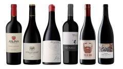 Mixed Case - National Women's Month Red Wine Edition (Paisley Bear)