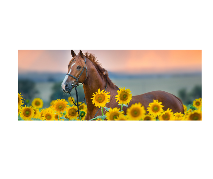 Horse Sunflower Full Desk XL Gaming &amp; Office Mouse Pad