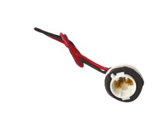 Uni Type Globe Holder
