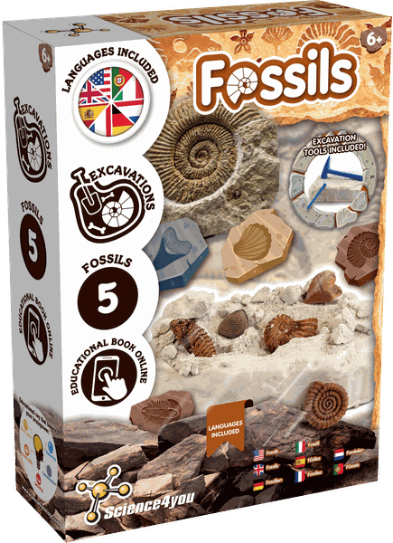Science4you - Fossil Dig Kit - Excavate &amp; Learn, Ages 6+
