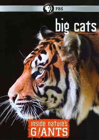 Inside Nature's Giants:Big Cats - (Region 1 Import DVD)