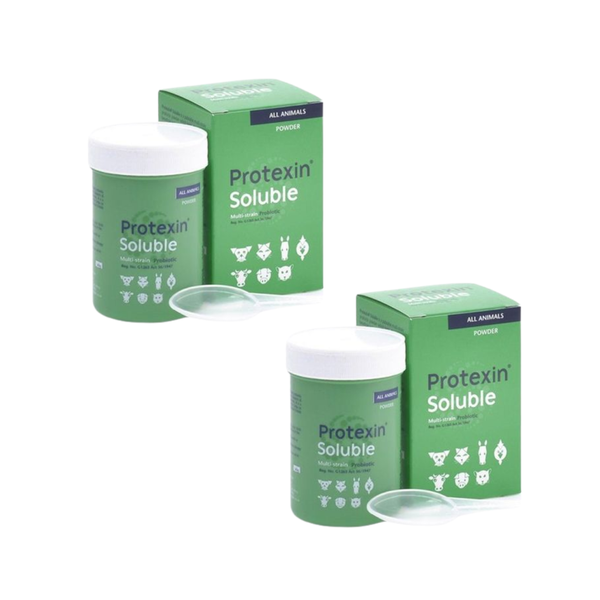 Protexin Soluble Multistrain Probiotic for Dogs,Cats &amp; Horses 60g 2 Pack