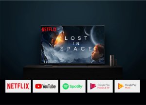 Xiaomi Mi Box HD 4K Streaming Media (Parallel Import)
