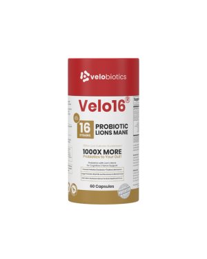 Velo16 Probiotic Lions Mane Capsules - 60s