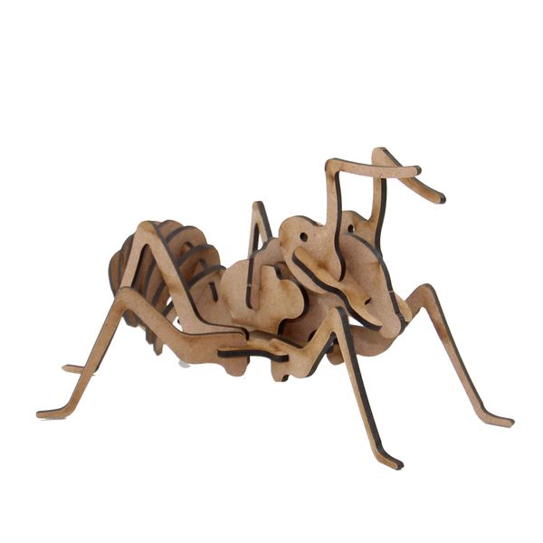 Wow We | 3D Wooden Model | 3D Puzzle | Insects Ant | DIY Model Kit