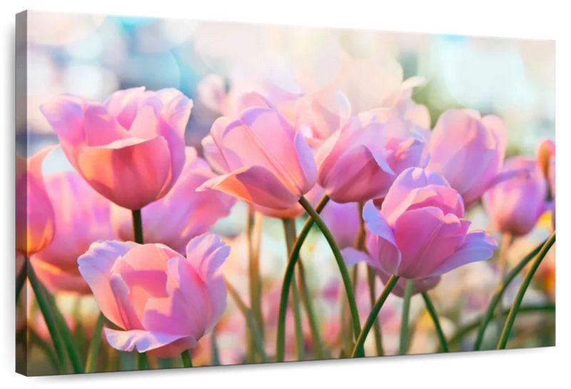 Canvas Art - Pink Tulips Canvas Wall Art For Living Bedroom Decor