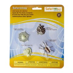 Safari Ltd - Safariology - Life Cycle of a Spider
