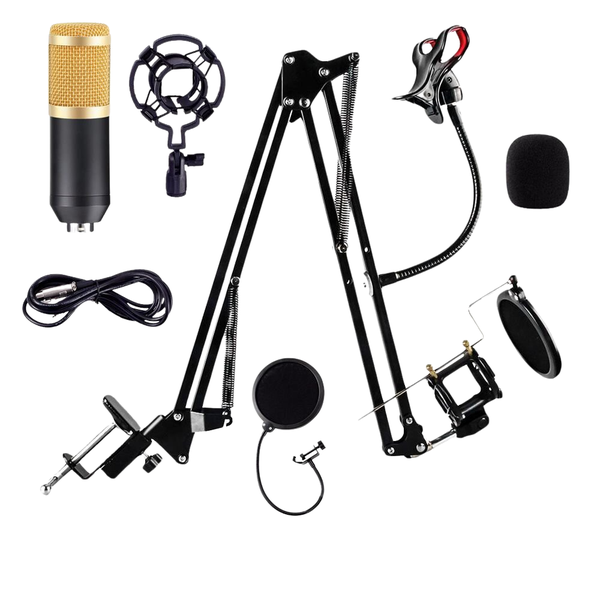 CK800 Professional Condenser Studio Microphone Set