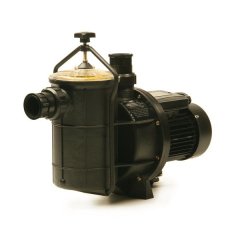 0.75kW Pool Pump Self-Priming Eartheco