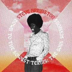 Down to the Lowest Terms: The Soul Sessions (Vinyl / 12" Album)