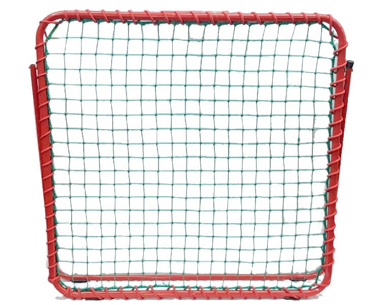 Pr Cricket Rebound Net
