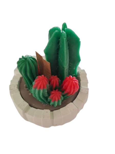 Desert Oasis Cactus Garden Candle, Green-Red Wax 10 cm Vanilla Candle