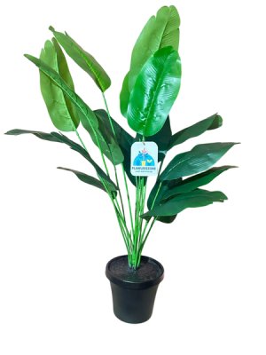 Flawlesszone Green Bird of Paradise -70cm