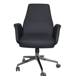 Kilimanjaro Mid-Back Ergonomic Chair