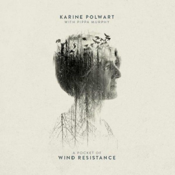A Pocket of Wind Resistance (RSD 2018) (Vinyl / 12" Album)