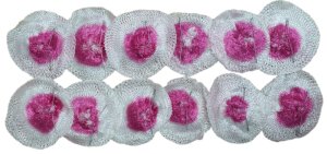 Gas Mantles (12 Pieces) - 500/600 C.P