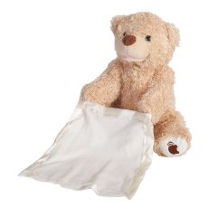 Peek-A-Boo Teddy Bear