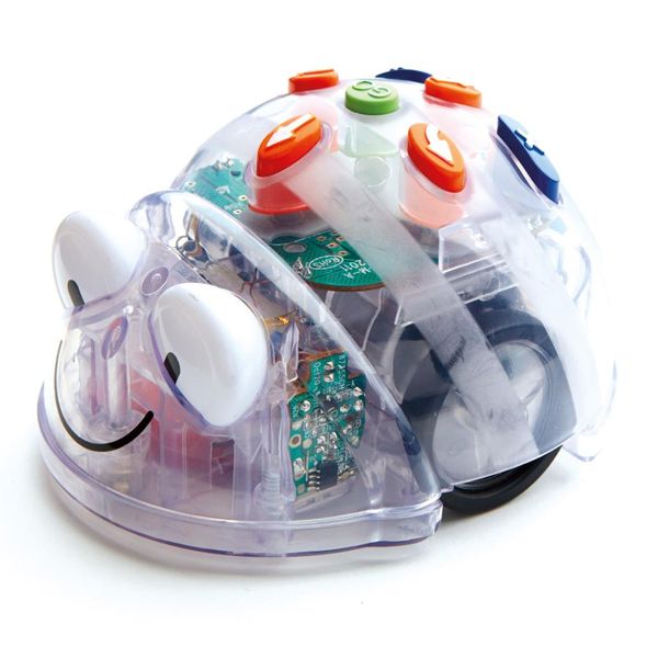 Blue-Bot Programmable Robot