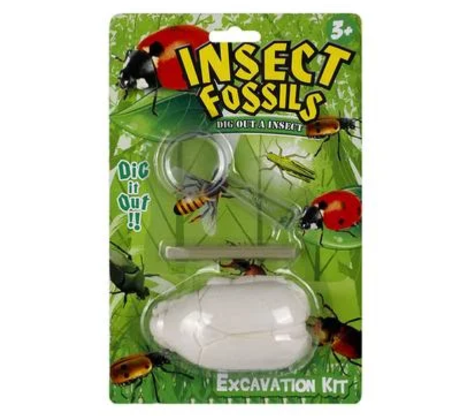 Insect Fossil Excavation Adventure Kit - Educational &amp; Assorted