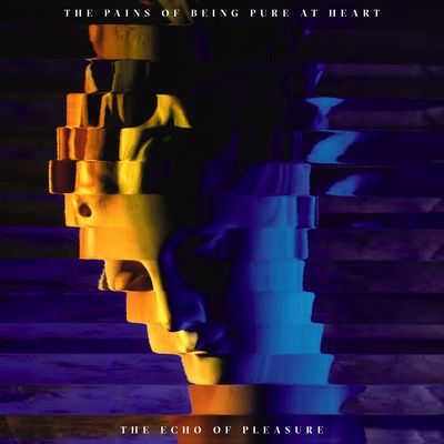 The Echo of Pleasure (Vinyl / 12" Album)