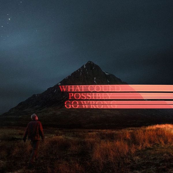 Dominic Fike - What Could Possibly Go Wrong LP Vinyl Album Gatefold Cover