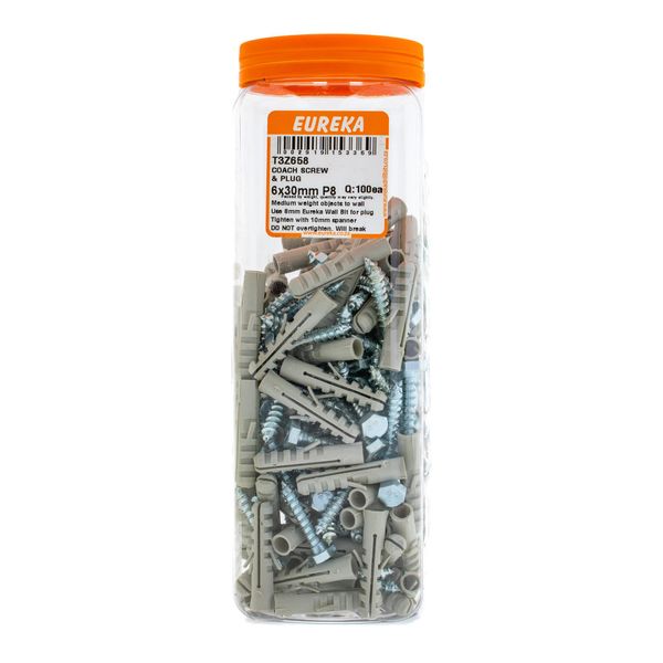 EUREKA Coach Screw &amp; Plug 6 x 30mm Plug 8mm Q:100ea T3Z658