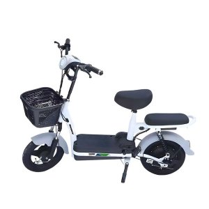 Santa Barbara Electric bicycle, 48V12AH electric bicycle, two-seater