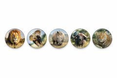 J P Urban Safari Collection , Majestic Safari Fridge Magnets Set