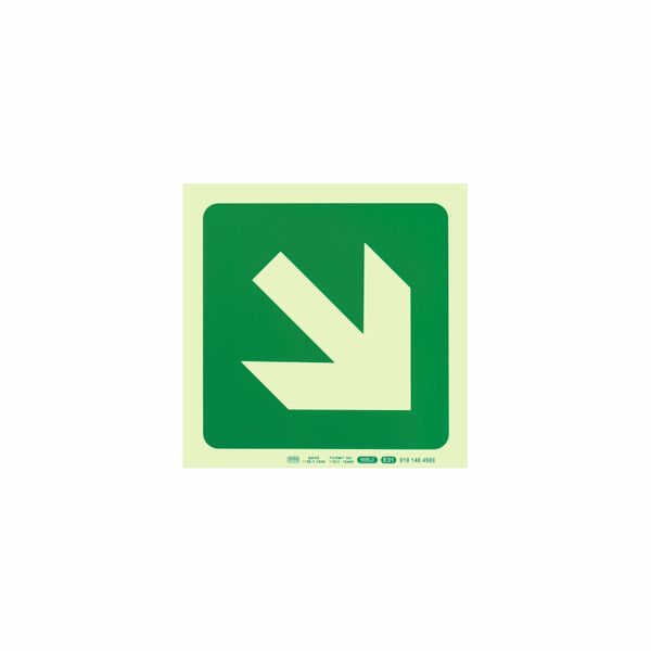 Parrot Photoluminescent Safety Sign - E31 Diagonal Arrow Down Right (19cm)
