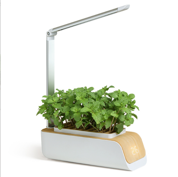 Smart Planting System Pot with Touchscreen and LED Plant Grow Light