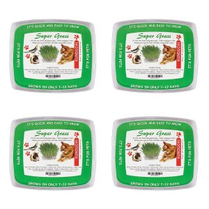 Kunduchi Super Grass Mega Pack (x 4 units) for Cats, Birds, Guinea Pigs Etc