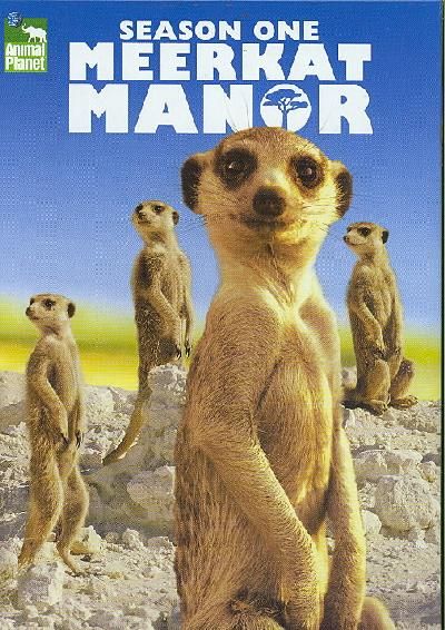 Meerkat Manor:Season 1 - (Region 1 Import DVD)