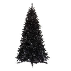 Canadian Alpine Black Pencil Christmas Tree