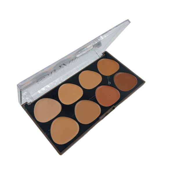 Ushas Golden Stylist Concealer Palette