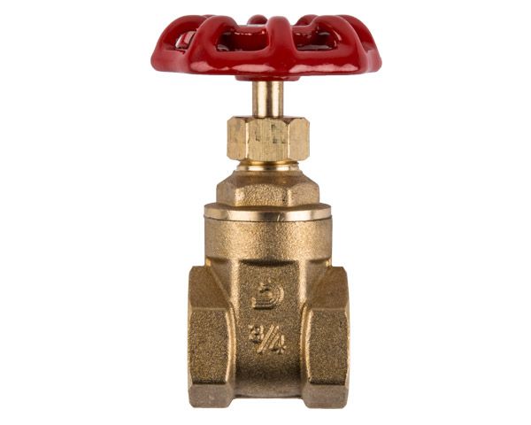 Torrenti Brass Gate Valve - 20mm