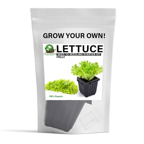 Palm Garden Grow Your Own Lettuce Plant - Seed to Seedling Kit