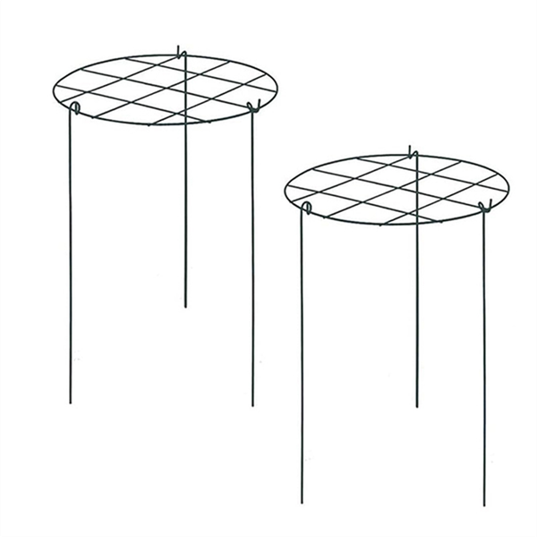 Peony Stand Peony Support Cage Plant Stand Growing Plant Stand