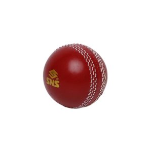 SNS Poly Soft Training Cricket Ball