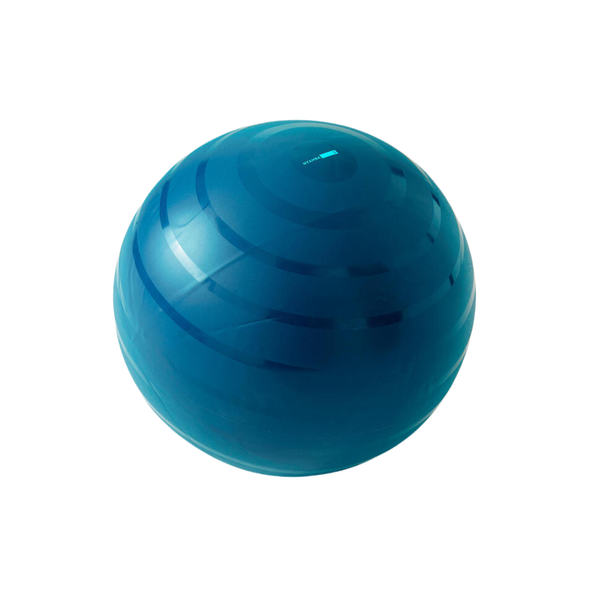 Nyamba Robust Swiss Ball