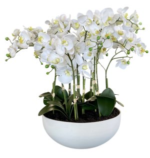 Flawlesszone Premium White Artificial Orchid in Modern Pot Decor