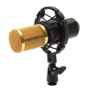 GB BM800 Condenser Microphone Recording With Shock Mount Kit (Black)